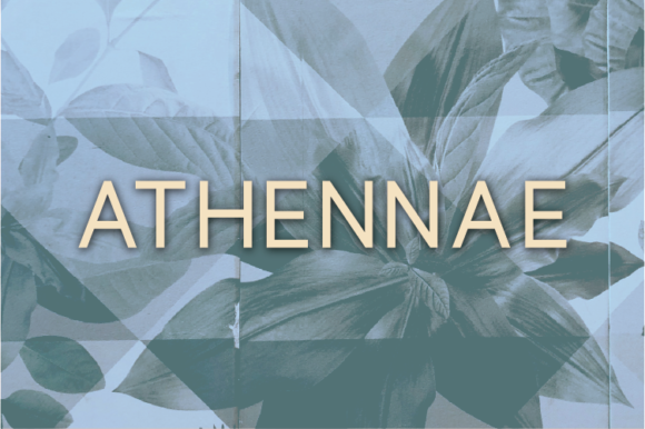 Athennae: The Minimal Sans Serif Font for Modern Brands