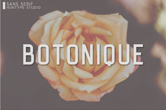 Botonique: The Clean Sans Serif Font for Modern Brands