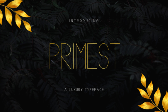 Primest: A Minimal Sans Serif Typeface for Modern Editorial Design