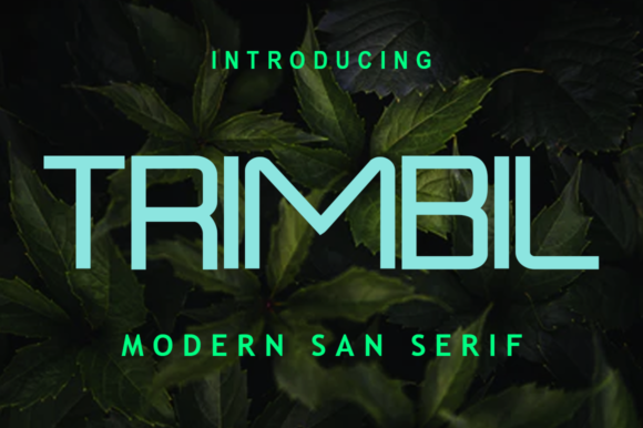 Trimbil: A Modern Techno Typeface for Makers